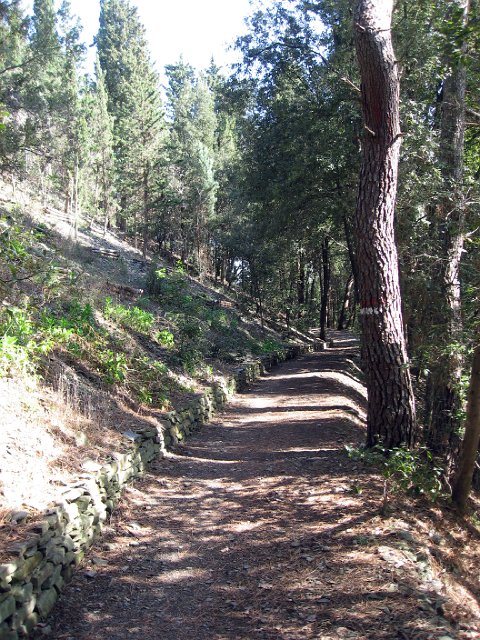 Fiesole - Parco di Montececeri-22.JPG